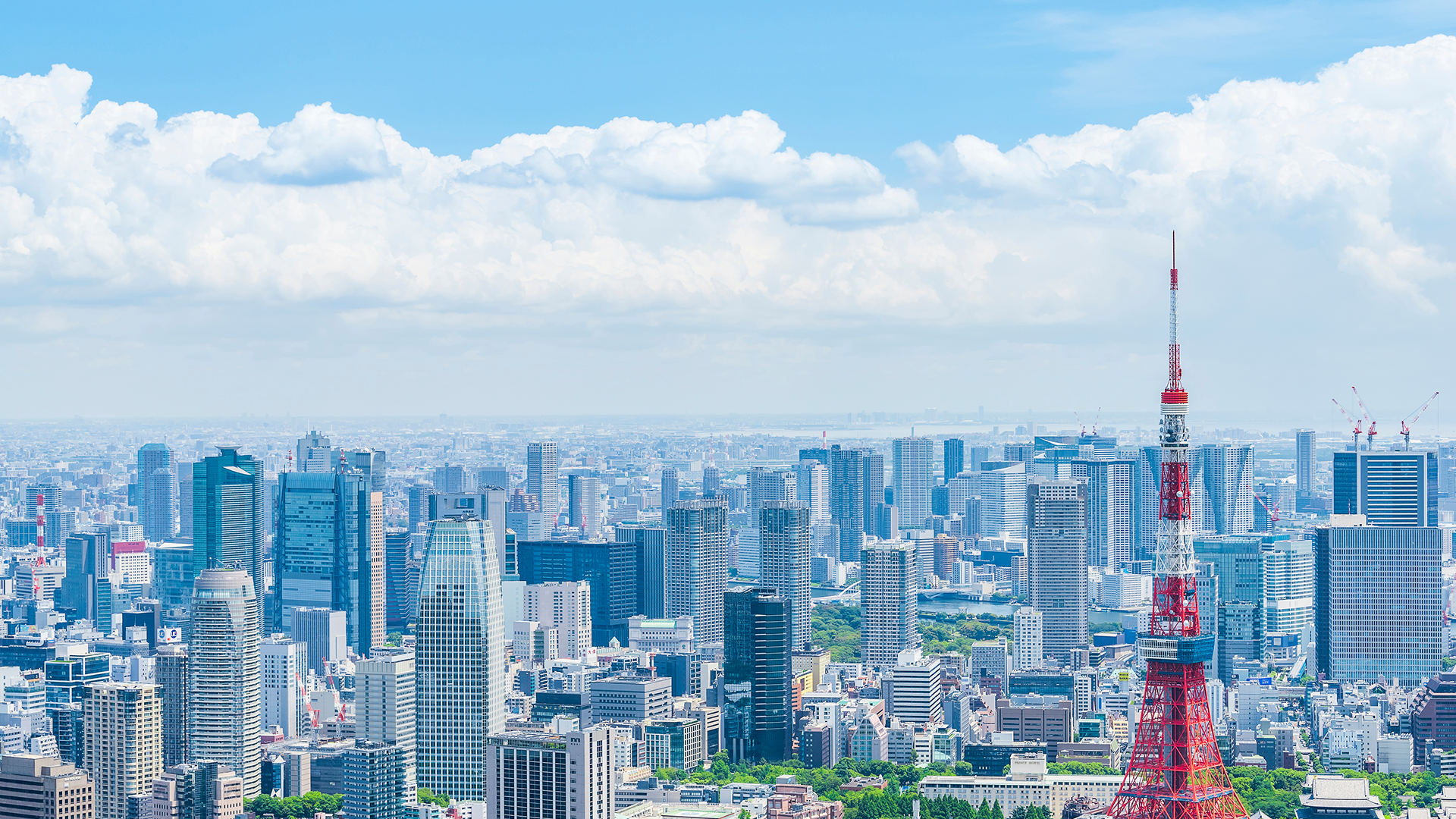 G・H・A・C株式会社